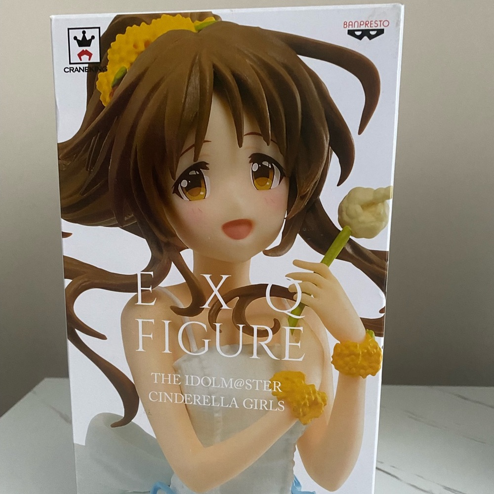 Anime Figure
